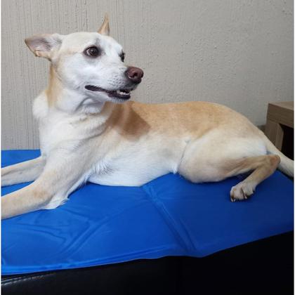 Imagem de Tapete Gelado Gato Cachorro Cao Pet Refrescante 50x65cm Animal de Estimaçao Macio Confortavel Colchonete Calor Temperatura Alta Verao Dia Quente