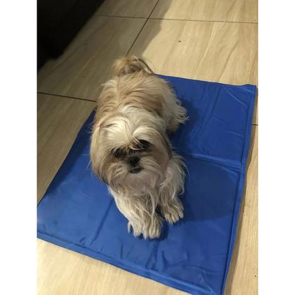 Imagem de Tapete Gelado Gato Cachorro Cao Pet Refrescante 50x65cm Animal de Estimaçao Macio Confortavel Colchonete Calor Temperatura Alta Verao Dia Quente