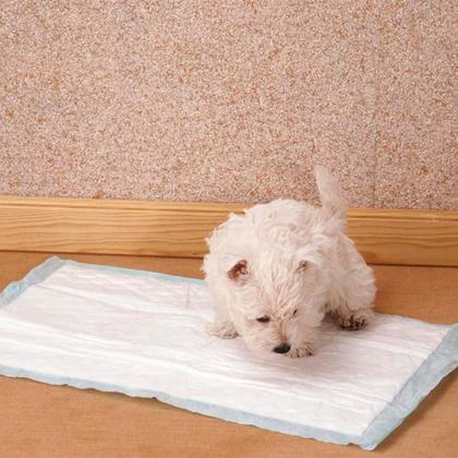 Imagem de Tapete Higiênico Para Cachorro Cães Pet Super Tapetão 80x60 Com 30 Un.