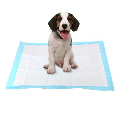 Imagem de Tapete Higienico Pet Cao Cachorro 60x90 20 Unidades Antivazamento Treinamento Adestramento Animal de Estimaçao Absorvente