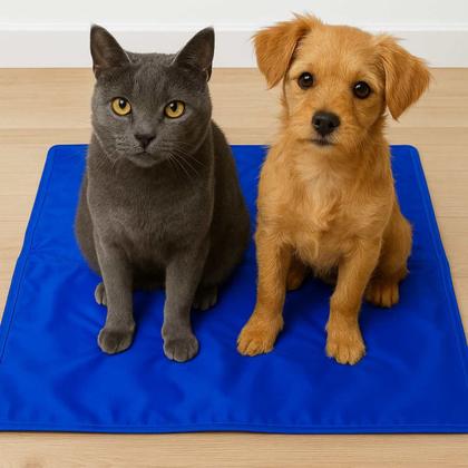Imagem de Tapete Pet Gelado Refrescante Para Cães E Gatos 40x50x1cm