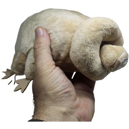 Imagem de Tardigrade Tardigrada Ursos-dágua Pelúcia