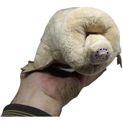 Imagem de Tardigrade Tardigrada Ursos-dágua Pelúcia