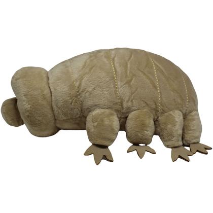 Imagem de Tardigrade Tardigrada Ursos-dágua Pelúcia