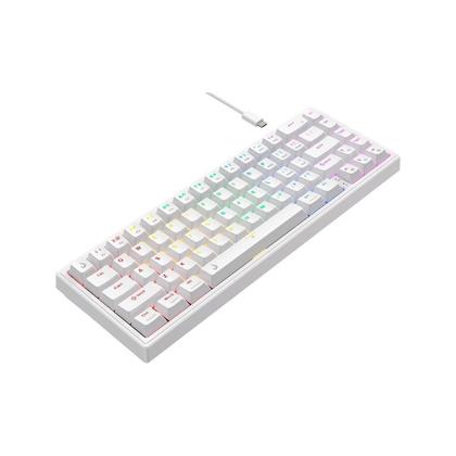 Imagem de Teclado Mecânico Gamer Rise Mode GM1 Pro White, ARGB, Mini (65%), Switch Outemu Red, USB-C - RM-TCM-GM1P-WRED
