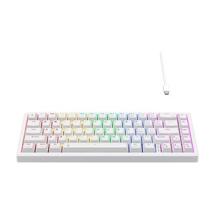 Imagem de Teclado Mecânico Gamer Rise Mode GM1 Pro White, ARGB, Mini (65%), Switch Outemu Red, USB-C - RM-TCM-GM1P-WRED