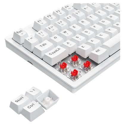 Imagem de Teclado Mecânico Gamer T-Dagger Megatre, RGB, Switch Dust-proof Marrom, USB Tipo-C, ABNT2, Branco - T-TGK326W-BR