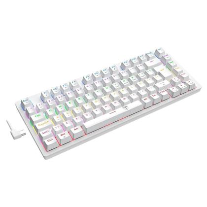 Imagem de Teclado Mecânico Gamer T-Dagger Megatre, RGB, Switch Dust-proof Marrom, USB Tipo-C, ABNT2, Branco - T-TGK326W-BR