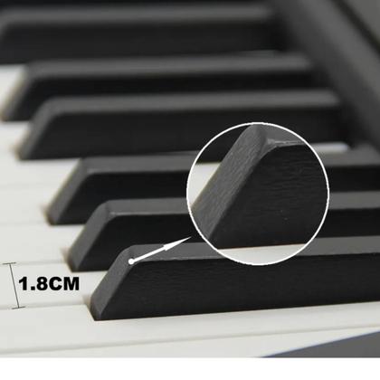 Imagem de Teclado Musical Infantil Iniciante Com Microfone Spring