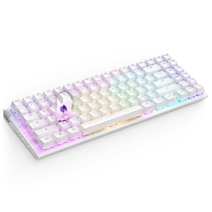 Imagem de Teclado Óptico Gamer NZXT Function 2 MiniTKL, RGB, USB-C, Layout US, Branco - KB-002NW-US