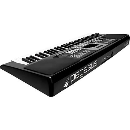 Imagem de Teclado pegasus p222 preto 61 teclas