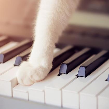 Imagem de Teclado Piano Musical 61 Teclas Sensitivas Rosa P2 E Músicas