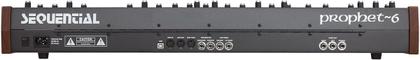 Imagem de Teclado Sintetizador Sequential Prophet 6 com 49 Teclas