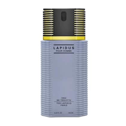 Imagem de Ted lapidus - perf. masc. lapidus pour homme edt 100ml