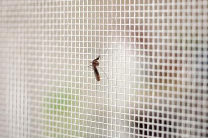 Imagem de Tela Mosquiteira Fibra Vidro Branca 2,00 x 1,50m