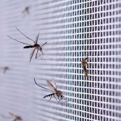 Imagem de Tela Mosquiteiro Pernilongo Inseto 2 Metros Janela Basculante Porta Segurança Resistente Proteçao Reforçado