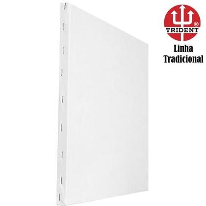 Imagem de Tela Painel Para Pintura Profissional Galeria 30x60x5