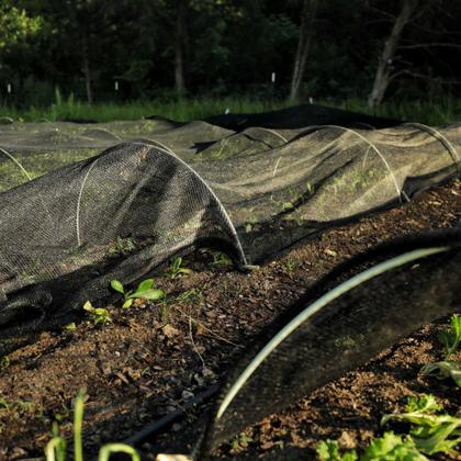 Imagem de Tela Preta Sombrite Hortas e Estufas Proteção 50% 1,5x27,5