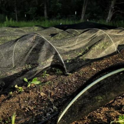 Imagem de Tela Preta Sombrite Hortas E Estufas Proteção 50% 2x26