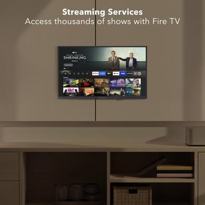 Televisão INSIGNIA NS-24F201NA26 Smart Fire TV HD de 24 polegadas