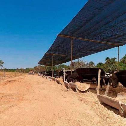 Imagem de Tenda Sombrite Horta Sombreamento 80% - 2x8 Mts