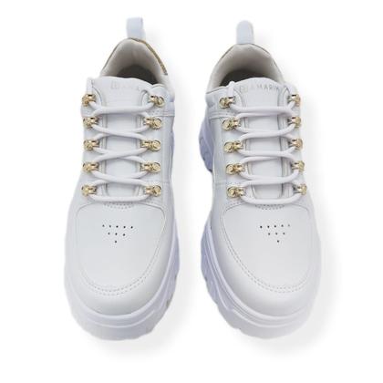 ちゃりんこ Retentor Magneto e Virabrequim Fym 250 Traxx Shark 250