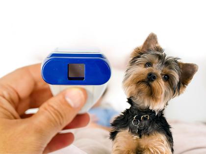 Imagem de Termômetro Clínico Infravermelho Veterinário Incoterm