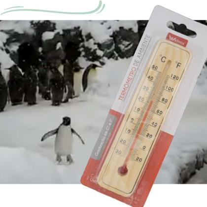 Imagem de Termômetro de Ambientes  Casa Sauna Cozinha 