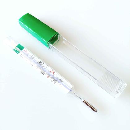 Imagem de Termômetro Ecológico CLASSIC