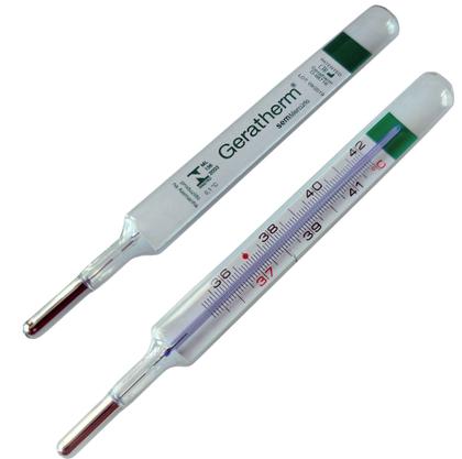 Imagem de Termômetro Ecológico CLASSIC