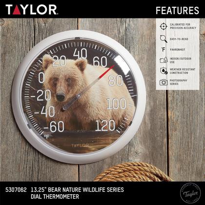 Imagem de Termômetro Taylor, 13 polegadas, Bear Dial, interno e externo