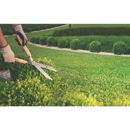 Imagem de Tesouras De Poda Tramontina Grama Plantas E Galhos 3 Peças