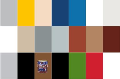 Imagem de Tinta Esmalte Coralit Alto Brilho Coral - Diversas Cores - 900ml