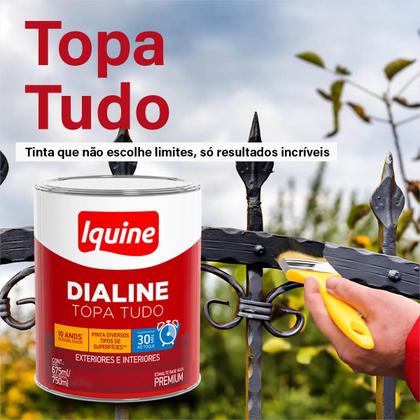 Imagem de Tinta Esmalte Sintético 750ML/3L - Cores Variadas --- Iquine