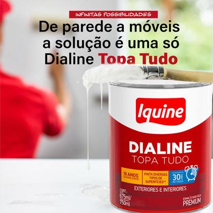 Imagem de Tinta Esmalte Sintético 750ML/3L - Cores Variadas --- Iquine