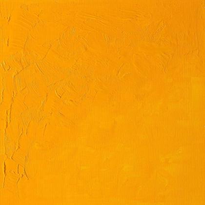 Imagem de Tinta Oleo Winton 200ml Sr1 Winsor & Newton Escolha a Cor