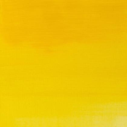 Imagem de Tinta oleo winton 37ml winsor & newton sr1 escolha cor