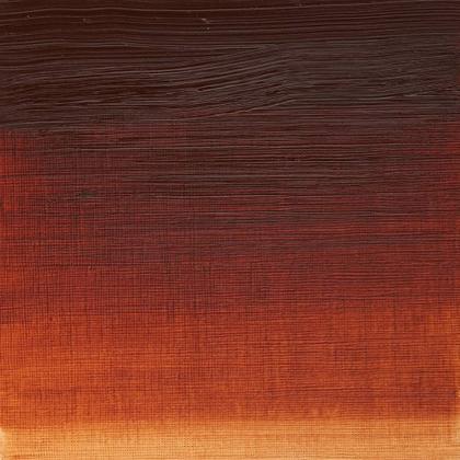 Imagem de Tinta oleo winton 37ml winsor & newton sr1 escolha cor