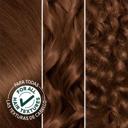 Imagem de Tintura de Cabelo Garnier Nutrisse Creme 535 Mogno Dourado - Nutritivo