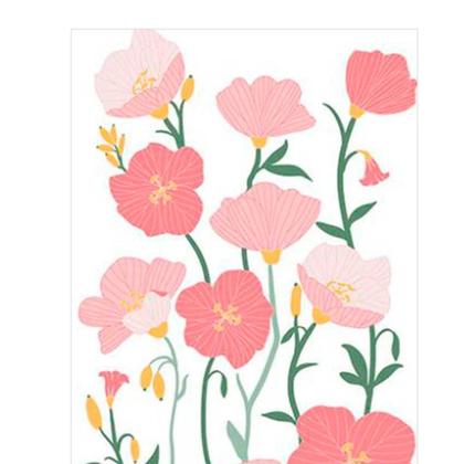 Imagem de Toalha de Banho Aveludada Camesa Seca Mais