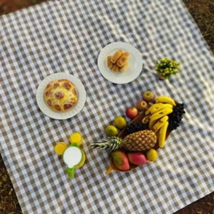 Imagem de Toalha de Mesa Retangular 10 Lugares Em Oxford Xadrez 3,00m X 1,45 Picnic Piquenique Várias Cores