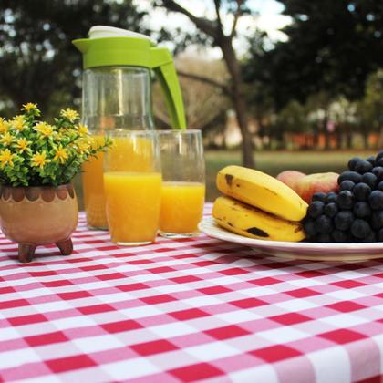 Imagem de Toalha de Mesa Retangular 10 Lugares Em Oxford Xadrez 3,00m X 1,45 Picnic Piquenique Várias Cores