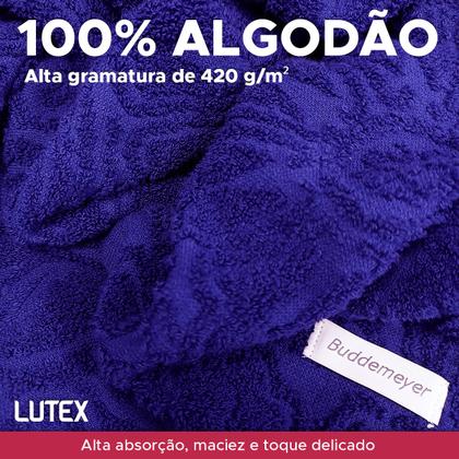 Imagem de Toalha de Rosto Avulsa Buddemeyer 100% Algodão Fibra Longa Jacquard 48 x 80 - Felpuda Macia Grossa