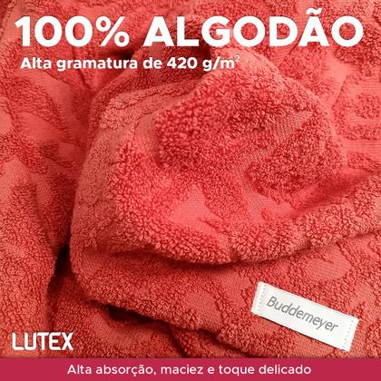 Imagem de Toalha de Rosto Avulsa Buddemeyer 100% Algodão Fibra Longa Jacquard 48 x 80 - Felpuda Macia Grossa