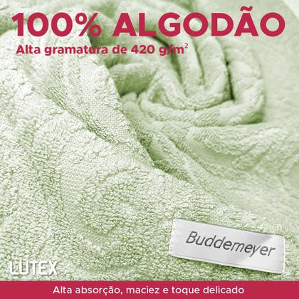 Imagem de Toalha de Rosto Avulsa Buddemeyer 100% Algodão Fibra Longa Jacquard 48 x 80 - Felpuda Macia Grossa