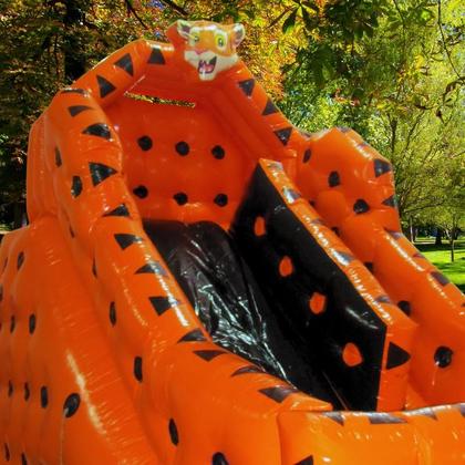 Imagem de Toboga Top Premium Tigrão