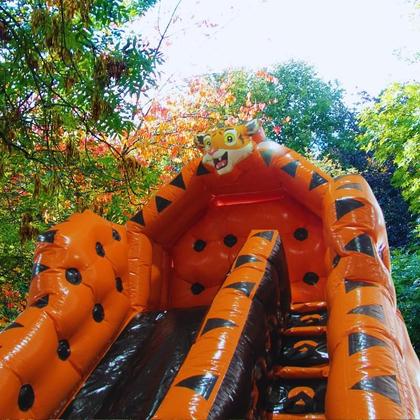 Imagem de Toboga Top Premium Tigrão