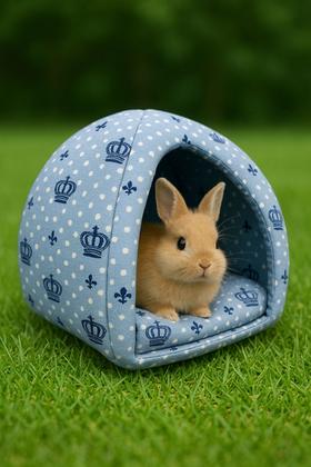 Imagem de Toca Cabana Cabaninha Toquinha Casinha para Roedores Porquinho da Índia Mini Coelho