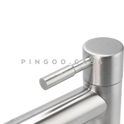 Imagem de Torneira para Banheiro Amazonas Baixa em Aço Inox