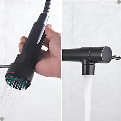 Imagem de Torneira Parede Cozinha Monocomando Gourmet Preto Fosco Vip